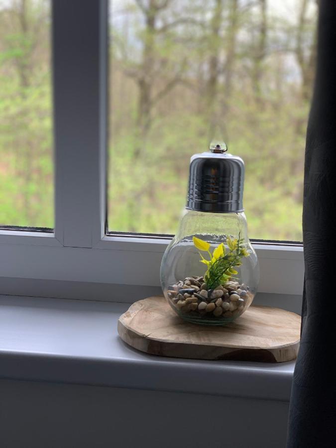 Apartament Forest Green Swieradow-Zdroj Luaran gambar