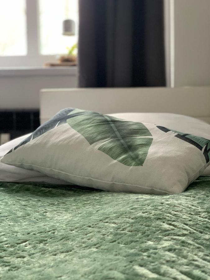Apartament Forest Green Swieradow-Zdroj Luaran gambar