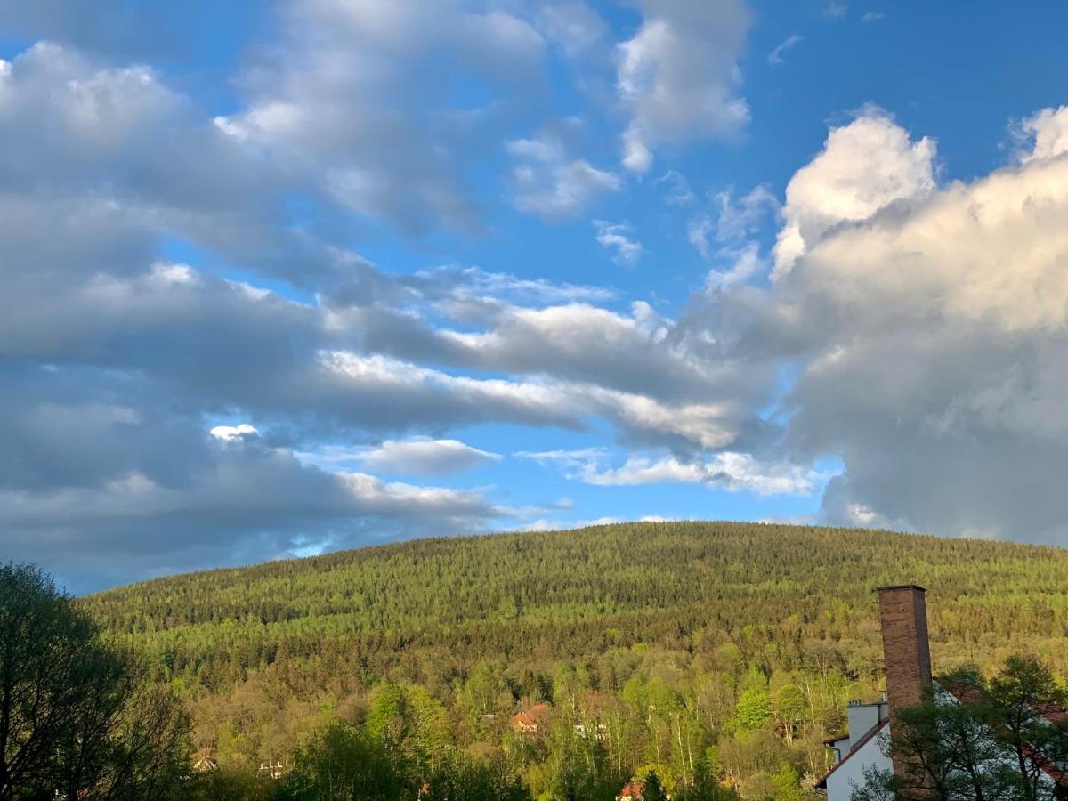 Apartament Forest Green Swieradow-Zdroj Luaran gambar
